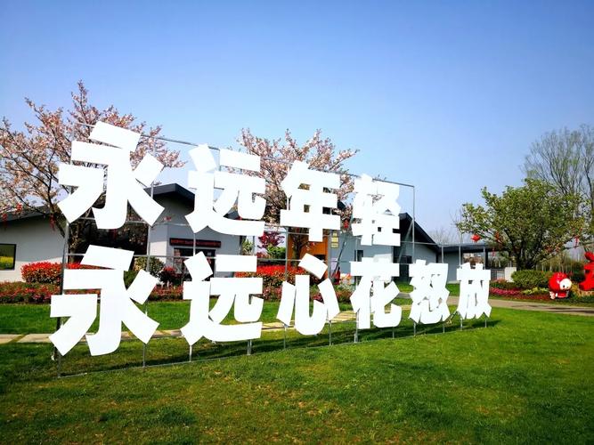 全年31个网络文化活动，等你来参与！